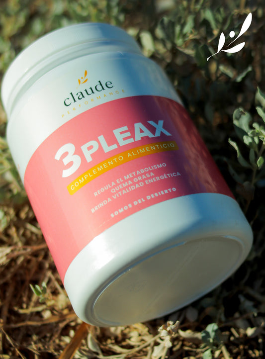 3-PLEAX VITALIDAD ENERGÉTICA