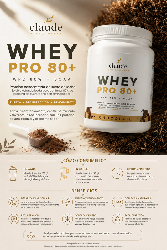 PROTEÍNA WHEYPRO80+ BCAAS