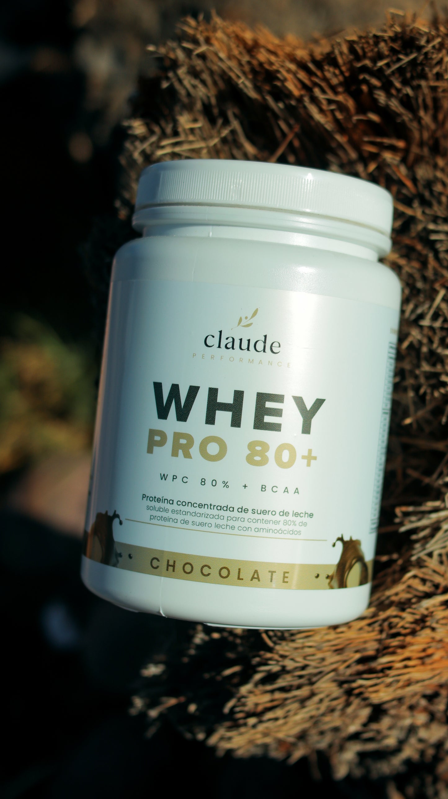 PROTEÍNA WHEYPRO80+ BCAAS