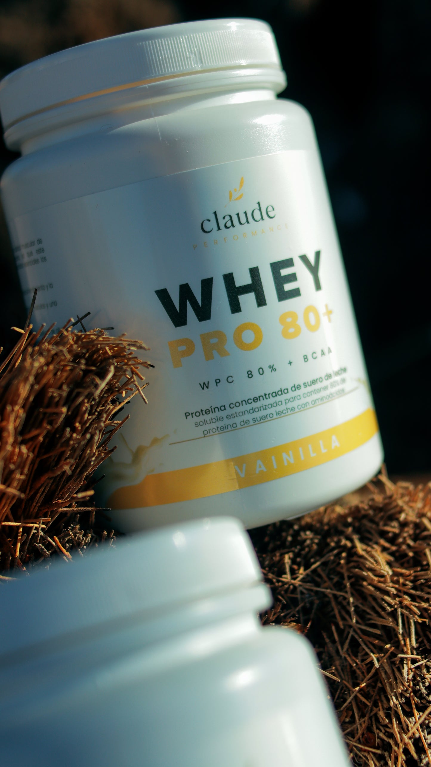 PROTEÍNA WHEYPRO80+ BCAAS